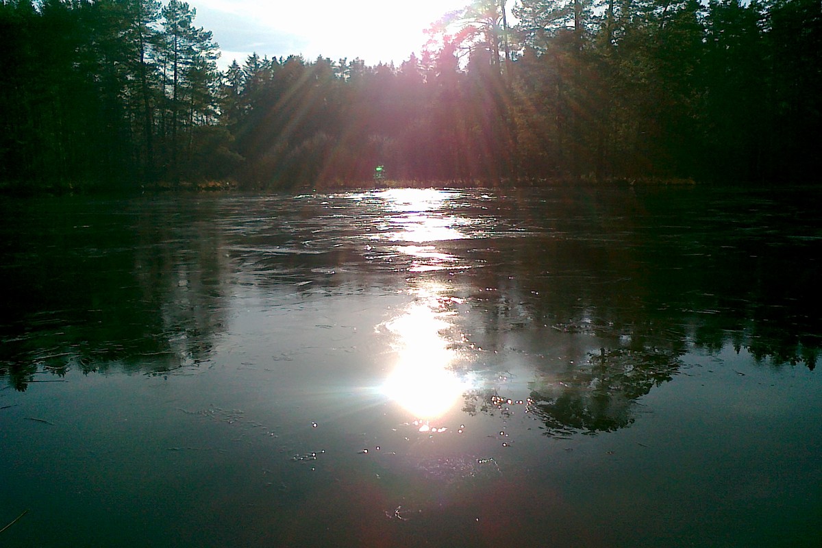 Slunce v ledu 